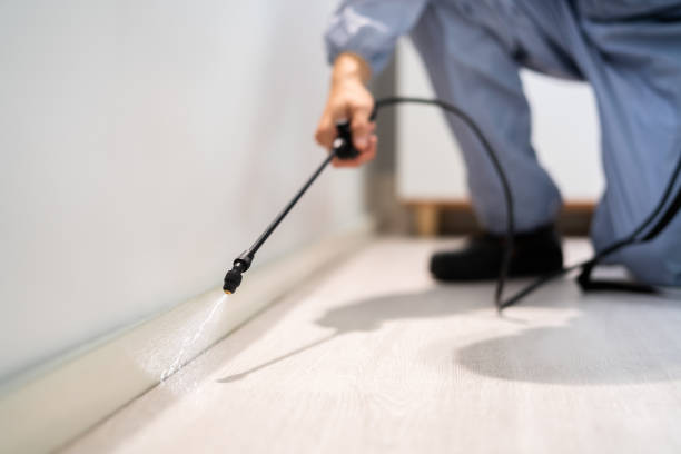Certified termite inspector examining foundation in Marmora